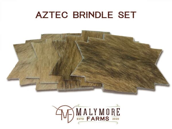 Coasters-Aztec-Brindle